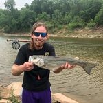 Robert Faaborg - @flieswithfaaborg - Instagram