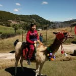 Robert Fabrizio Mendoza - @robertfabriziomendoza - Instagram