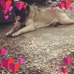 Robert Fairless - @robert_fairless - Instagram