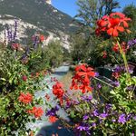 Roberta - @falbo.roberta - Instagram