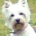 Robert Fallon - Facebook