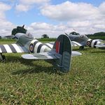 Robert Fallows - @robert.fallows - Instagram
