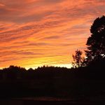 Robert Fallows - @robert.fallows.5 - Instagram