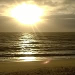 Robert Farrall - @robertfarrall - Instagram