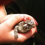 Robert Fast - @robertfast1738 - Instagram