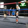 Robert 💯🥊 - @robertfatania - TikTok