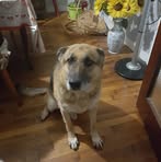 Robert Faubert - Facebook