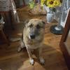 Robert Faubert - @robert.faubert - TikTok