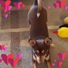 Robert Faul - @31027740169 - TikTok