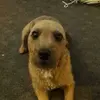 robertfaulds236 - @robertfaulds236 - TikTok