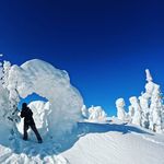 Robert Faulds - @original.rob - Instagram