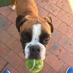 Robert Faulds - @bobby_blue60 - Instagram
