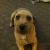 robertfaulds236 - @robertfaulds236 - TikTok