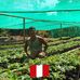 Robert Fausto Paukai Sebastian - Facebook