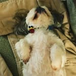 Robert Feagin - @feaginrobert - Instagram