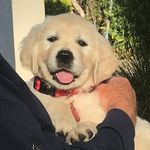 Rob_Featherstone - @robert_featherstone_ - Instagram