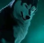 Robert O'Neill-Featherstone - Facebook