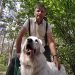 Robert Fedorowicz - trener psów - @robert.fedorowicz7 - Instagram