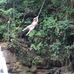 Robert Felbinger - Facebook