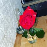 Roberto Felbinger - @felbingerroberto - Instagram