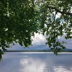 Robert Zetterfeldt - @robertzetterfeldt - Instagram