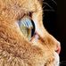 Robert Felipe Ads - Facebook