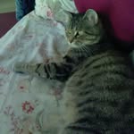 Diana Roberts Feltner - @robertsfeltner - Instagram