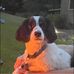 Robert Fenner - Facebook