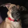 robertferrell815 - @robertferrell815 - TikTok
