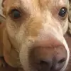 Robert Ferrero - @robero130 - TikTok