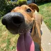 robert.fetherolf - @robert.fetherolf - TikTok