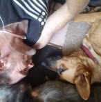 Robert Findlay - Facebook