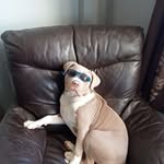 Robert Finlay - @robertfinlay172 - Instagram