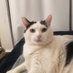 Robert Finlay - @robert178975 - Instagram
