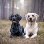 Robert Finster - @finster684 - Instagram