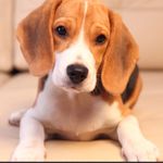 Robert flannigan - @flanniganrob64 - Instagram