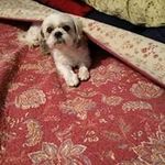 Robert Flannigan - @flanniganrobert - Instagram