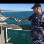 Robert Flannigan - @rpflann1964 - Instagram