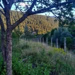 Robert Fleisher - @fleisherrobert - Instagram