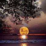 Robert Flick - @fflickster - Instagram
