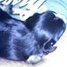Robert Flickinger - Facebook