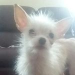Robert flickinger - @jeffys_famous_insta - Instagram