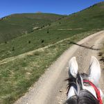 Robert Font - @font_robert - Instagram