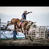 Robert Hoppe - @roberthoppe1 - TikTok