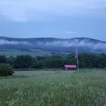 Robert Force - @savetheforcefarm - Instagram