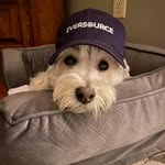 Robert Forcier - @troublemanbob - Instagram