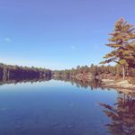 Robert Foreman - @foreman8072 - Instagram