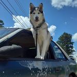 Robert Forkner - @robert.forkner.35 - Instagram