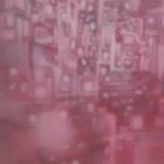 Robert Forkner - @rdforkneriii - Instagram