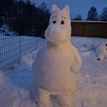 Robert Forsgren - @robf6502 - Instagram